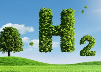 Sólo en Argentina sucede. Demorada una importantísima inversión.