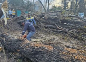 Lo que el Zonda nos dejó