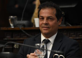 Nota de opinión: senador Germán  Vicchi