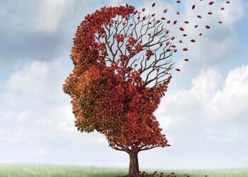 Argentina, con grieta y también atisbos de locura