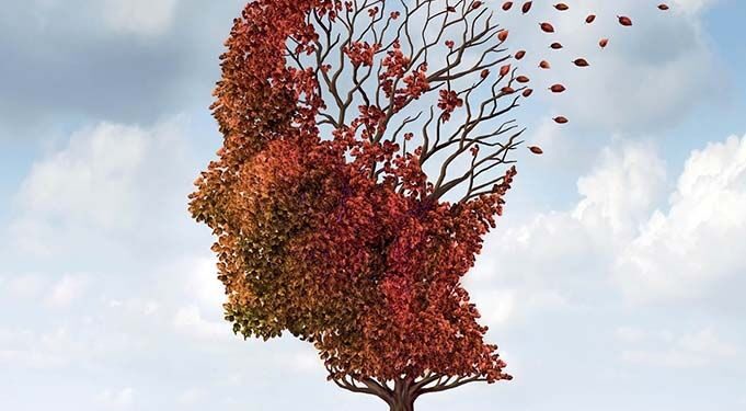 Argentina, con grieta y también atisbos de locura