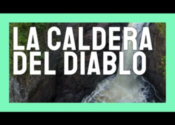 Picadillo de carne en Mendoza