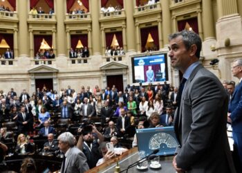 DNU, ley omnibús, protesta, Scioli y la casta, Inflación, jueces