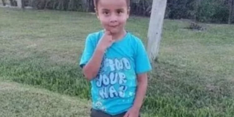 Loan, una película de la catástrofe nacional