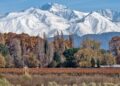 Mendoza está de moda. Hay que consolidarlo, mejorarlo  y no echarlo a perder