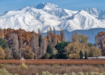 Mendoza está de moda. Hay que consolidarlo, mejorarlo  y no echarlo a perder