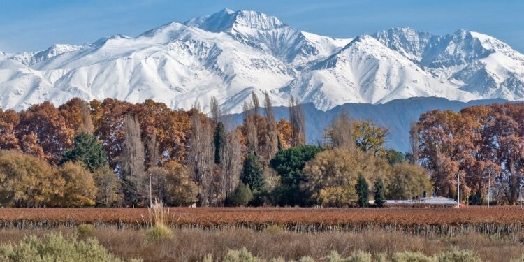 Mendoza está de moda. Hay que consolidarlo, mejorarlo  y no echarlo a perder