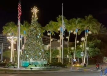 La impactante decoración para las fiestas de una ciudad de la Florida
