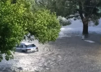 La imprescindible necesidad de la presencia de un Estado útil