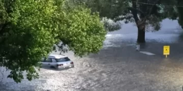 La imprescindible necesidad de la presencia de un Estado útil