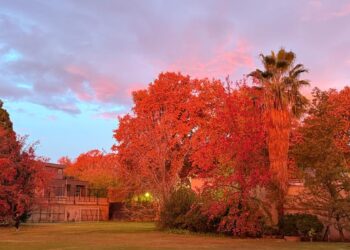 Madrugada de otoño en Mendoza. En oportunidades parece irreal, de tanta belleza
