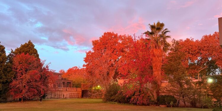 Madrugada de otoño en Mendoza. En oportunidades parece irreal, de tanta belleza